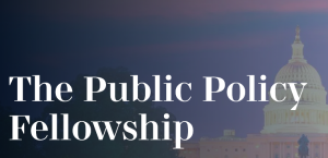 YIP Public Policy Fellowship 2026 | Online Fellowship for High School & Undergraduate Students