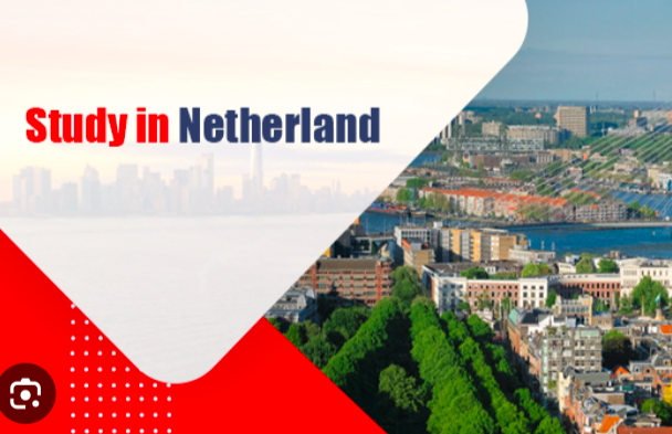 Top 20 Netherlands Scholarships for International Students in 2027 | Fully Funded & Partial Scholarships