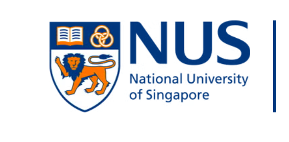 NUS IRIS Internship 2027 in Singapore