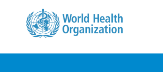WHO Internship 2027 in Geneva – Global Tobacco Epidemic Report